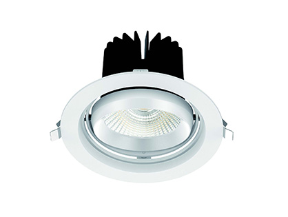 LED COB Series CL113B img